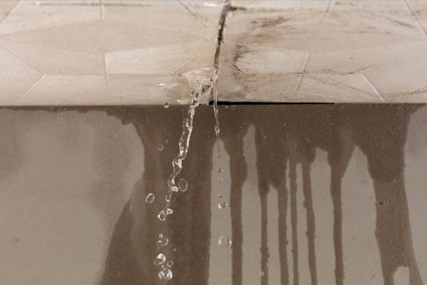 Professional Flood Damage Cleanup technician working in Randolph, NH